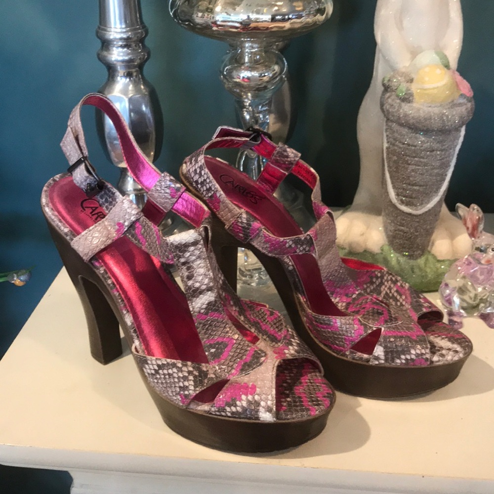 Carlos Santana Heel Shoes